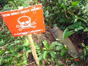 អង្គការដើមឈើសន្តិភាពវៀតណាមបន្តផ្តល់ជំនួយចំពោះគំរោងការបោសសំអាតគ្រាប់មីន